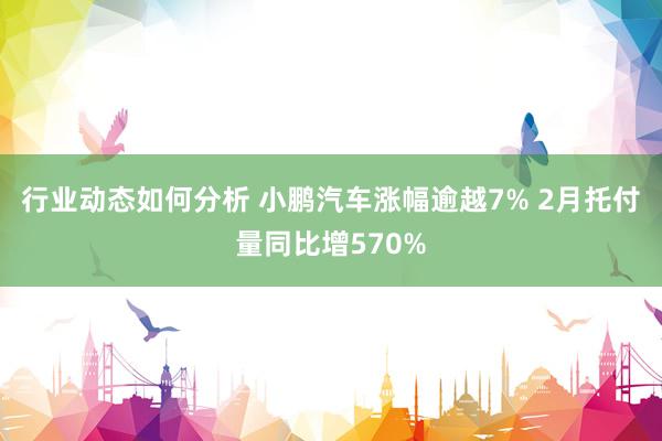 行业动态如何分析 小鹏汽车涨幅逾越7% 2月托付量同比增570%