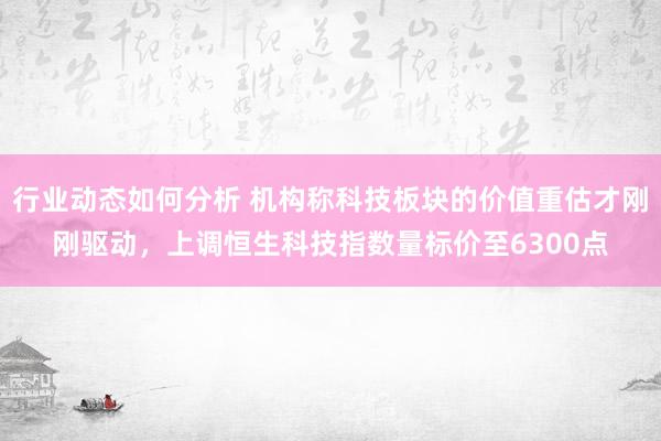 行业动态如何分析 机构称科技板块的价值重估才刚刚驱动，上调恒生科技指数量标价至6300点