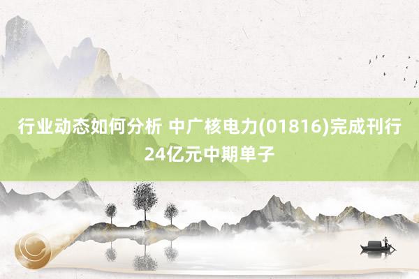 行业动态如何分析 中广核电力(01816)完成刊行24亿元中期单子