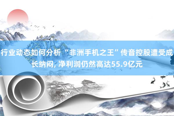 行业动态如何分析 “非洲手机之王”传音控股遭受成长纳闷, 净利润仍然高达55.9亿元