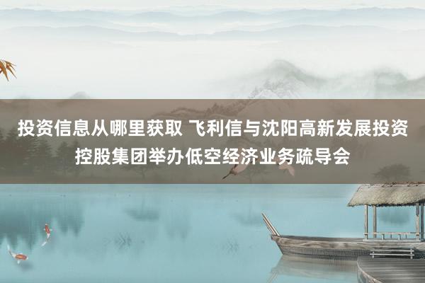 投资信息从哪里获取 飞利信与沈阳高新发展投资控股集团举办低空经济业务疏导会