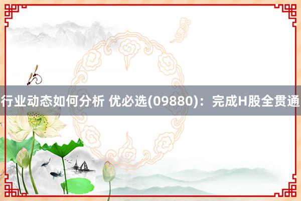 行业动态如何分析 优必选(09880)：完成H股全贯通