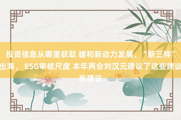 投资信息从哪里获取 暖和新动力发展、“新三样”出海、 ESG审核尺度 本年两会刘汉元建议了这些建议