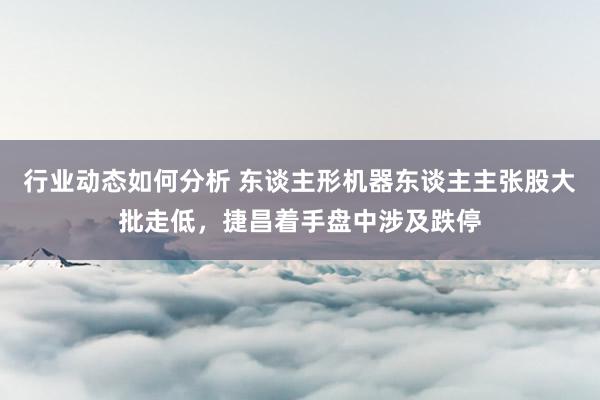 行业动态如何分析 东谈主形机器东谈主主张股大批走低，捷昌着手盘中涉及跌停