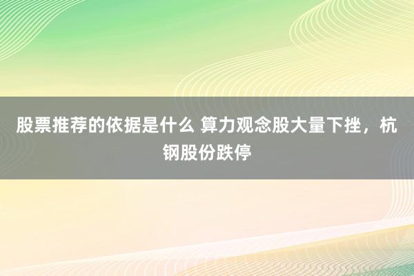 股票推荐的依据是什么 算力观念股大量下挫，杭钢股份跌停