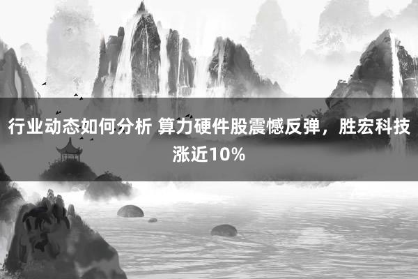 行业动态如何分析 算力硬件股震憾反弹，胜宏科技涨近10%