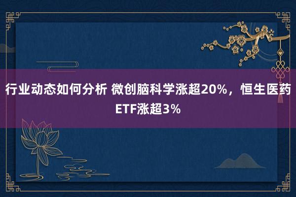 行业动态如何分析 微创脑科学涨超20%，恒生医药ETF涨超3%