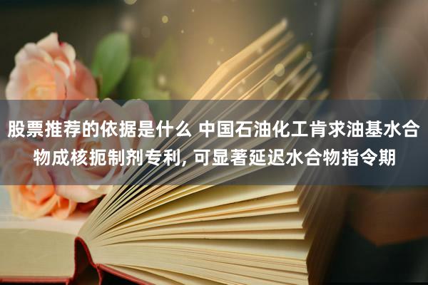 股票推荐的依据是什么 中国石油化工肯求油基水合物成核扼制剂专利, 可显著延迟水合物指令期