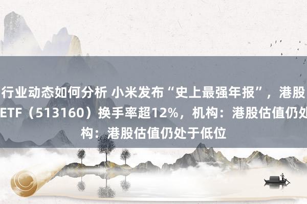 行业动态如何分析 小米发布“史上最强年报”，港股科技30ETF（513160）换手率超12%，机构：港股估值仍处于低位